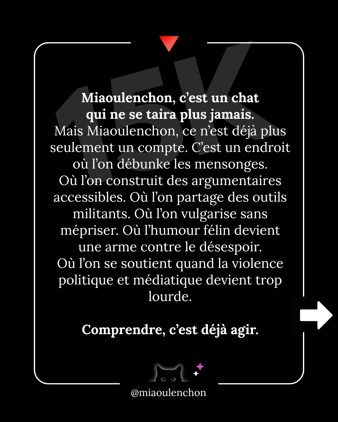 15 000 abonné·es, 6 millions de vues : merci — diapositive 5