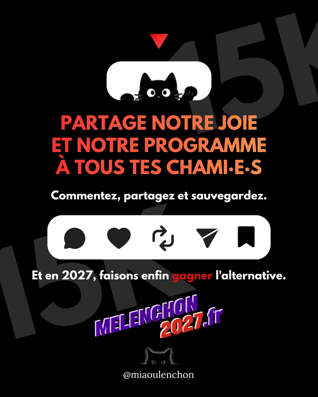 15 000 abonné·es, 6 millions de vues : merci — diapositive 9