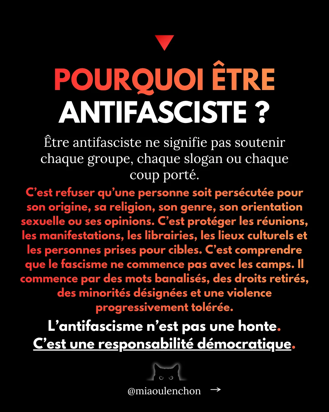 La diabolisation de l’antifascisme — diapositive 14