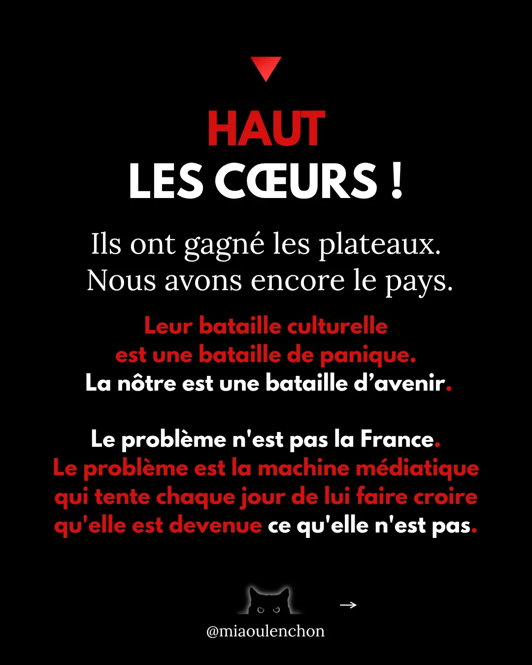 La bataille culturelle — diapositive 14