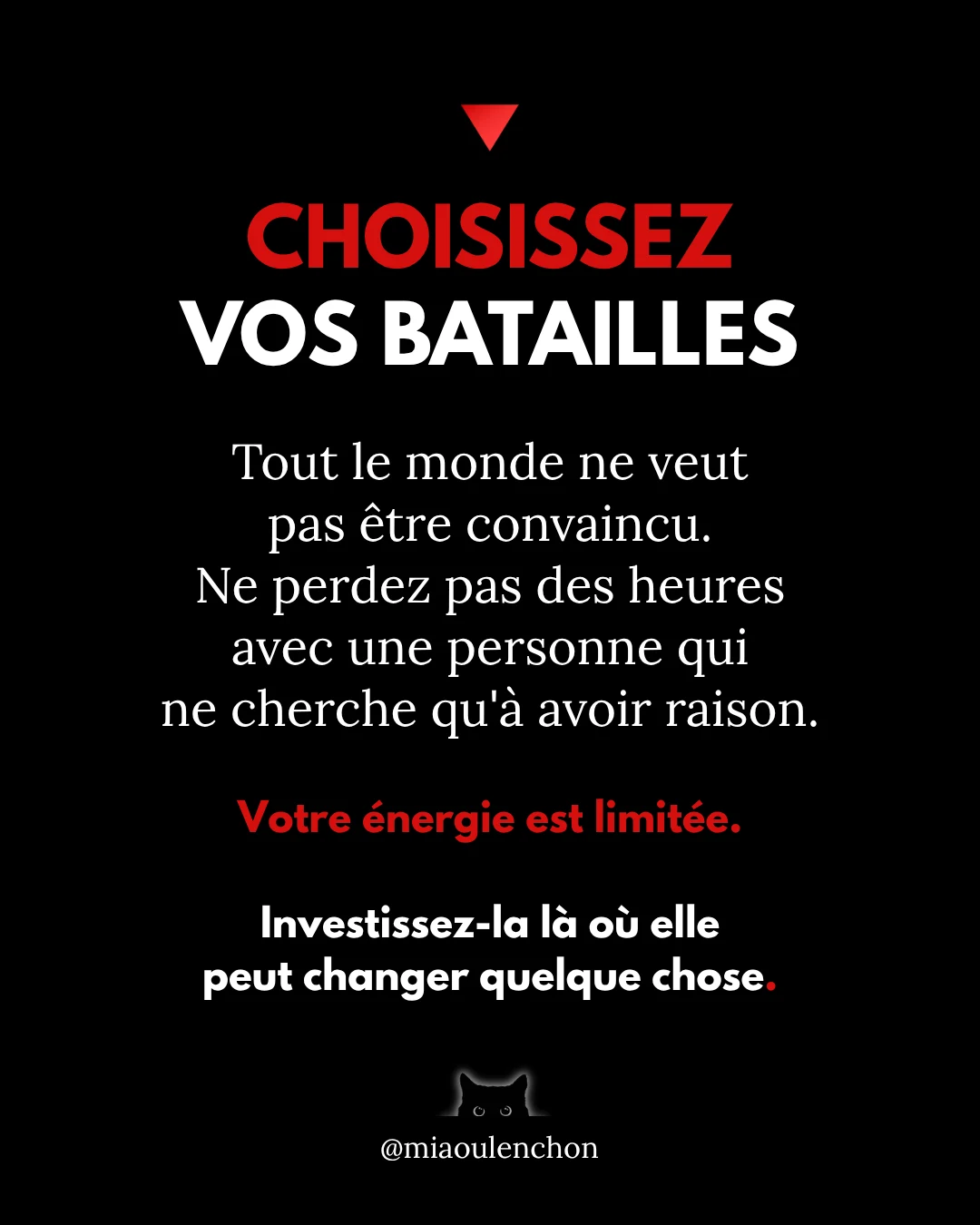 Comment faire campagne pour Jean-Luc Mélenchon ? — diapositive 8