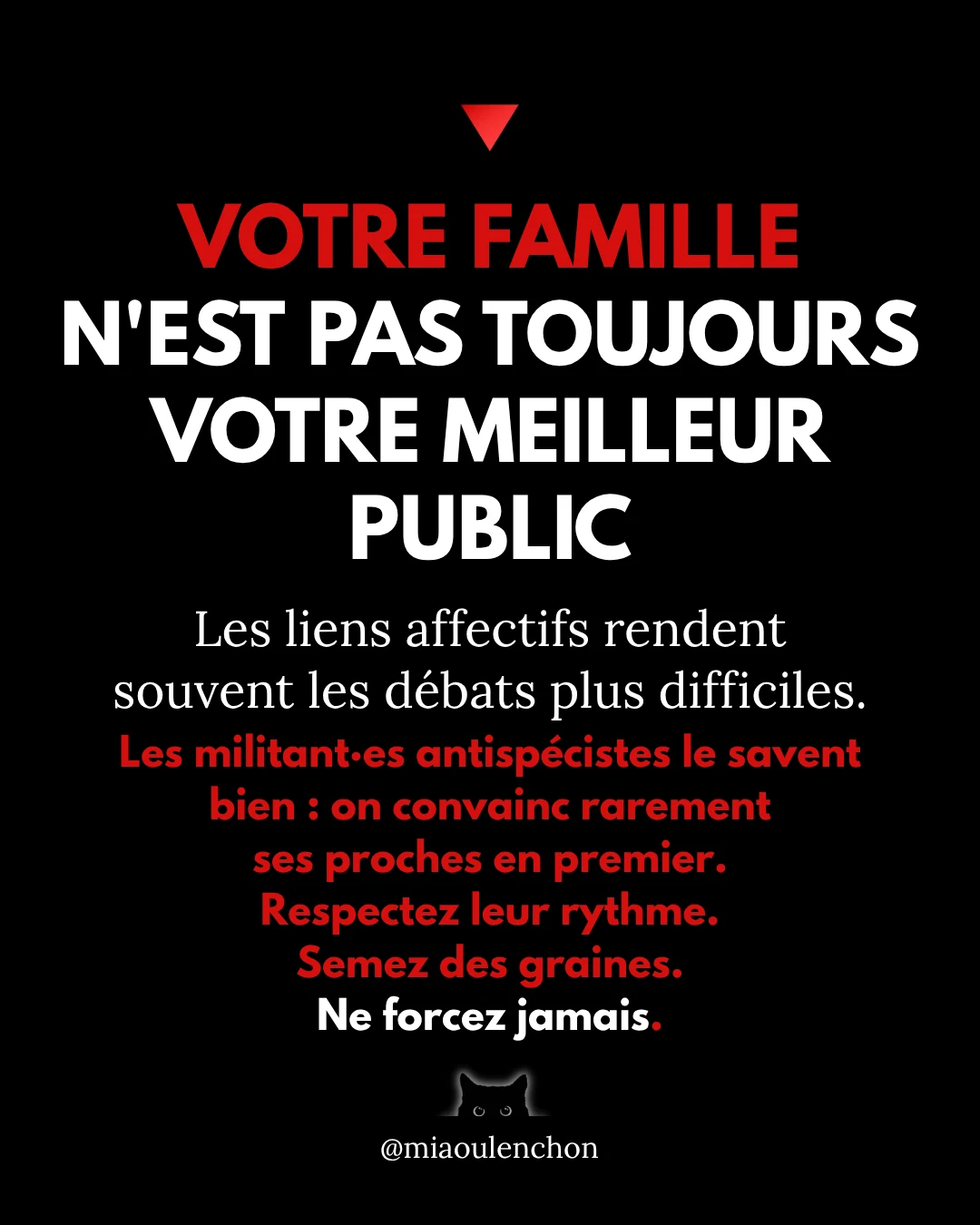 Comment faire campagne pour Jean-Luc Mélenchon ? — diapositive 11