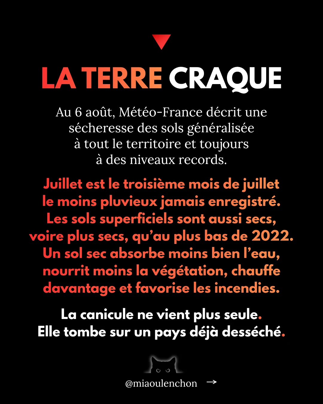 Canicule : l’été où tout bascule — diapositive 5