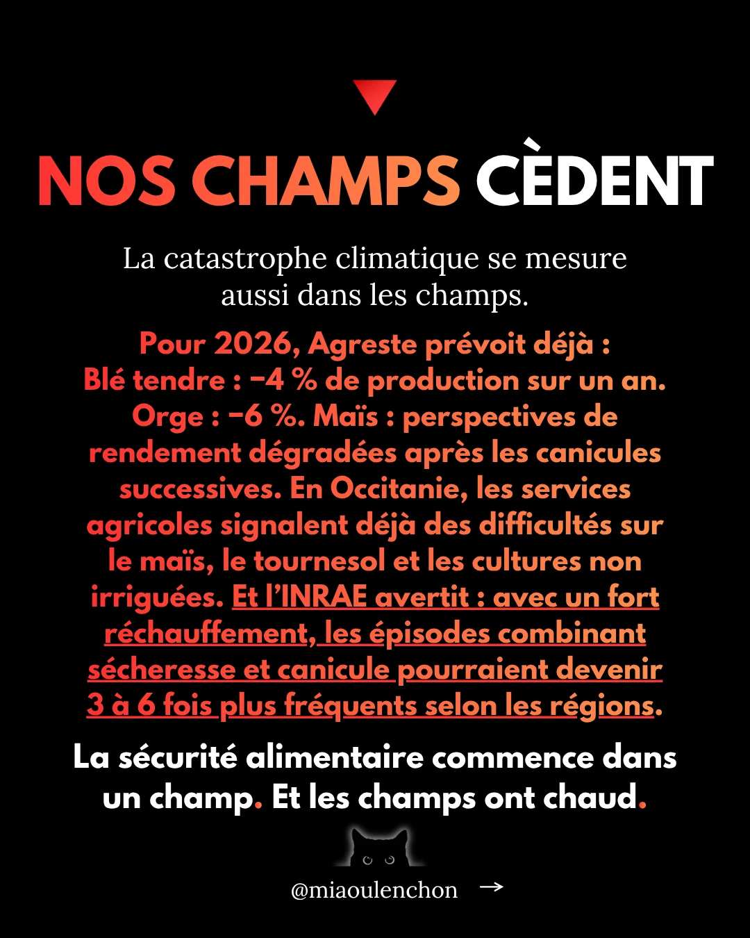 Canicule : l’été où tout bascule — diapositive 6