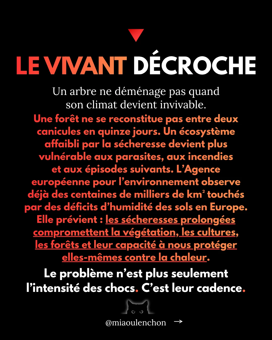 Canicule : l’été où tout bascule — diapositive 9