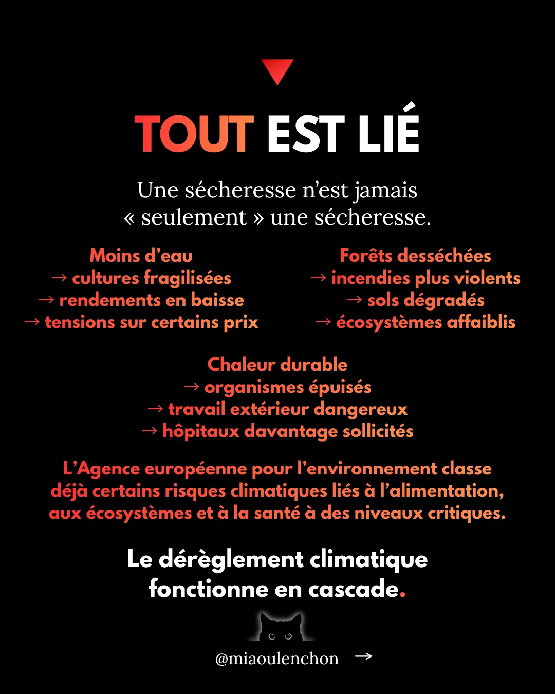 Canicule : l’été où tout bascule — diapositive 10