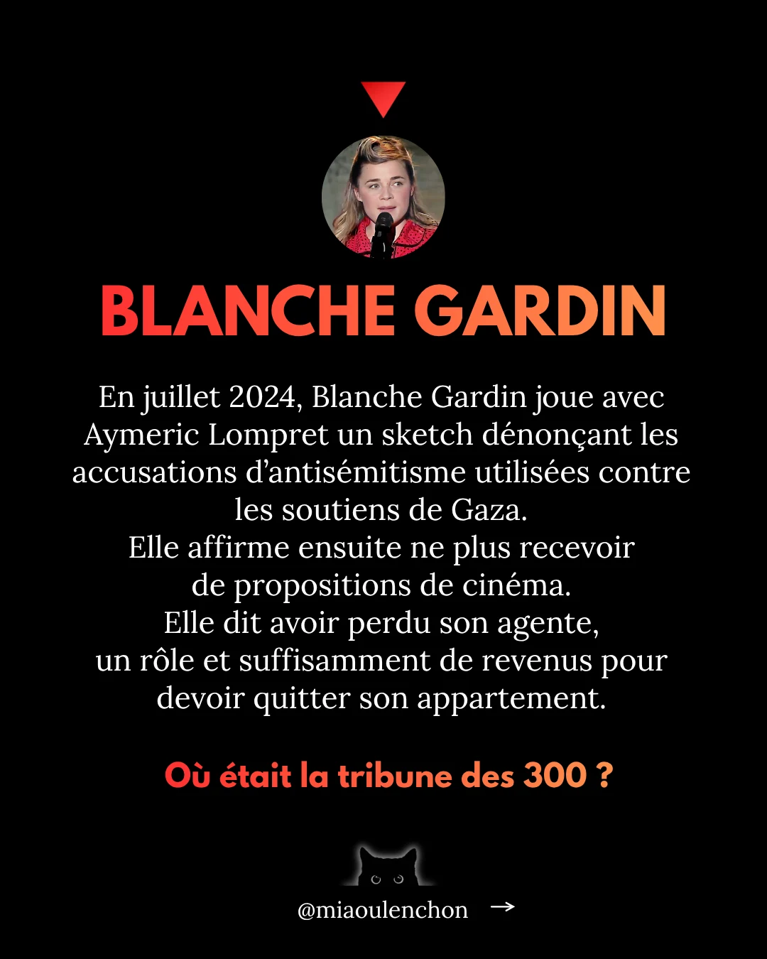 300 soutiens pour Barbara Butch. Et pour elleux ? — diapositive 4