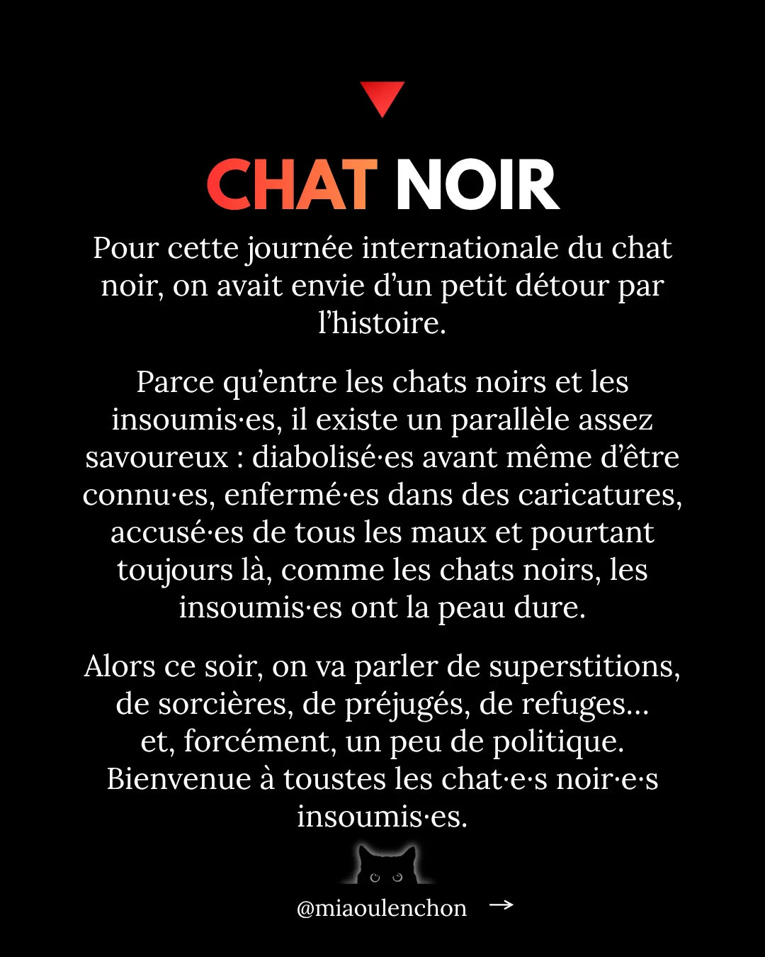 Pourquoi les chats noirs sont des insoumis — diapositive 2