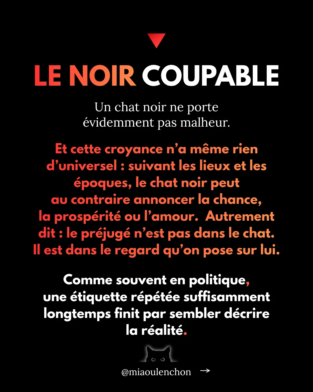 Pourquoi les chats noirs sont des insoumis — diapositive 4
