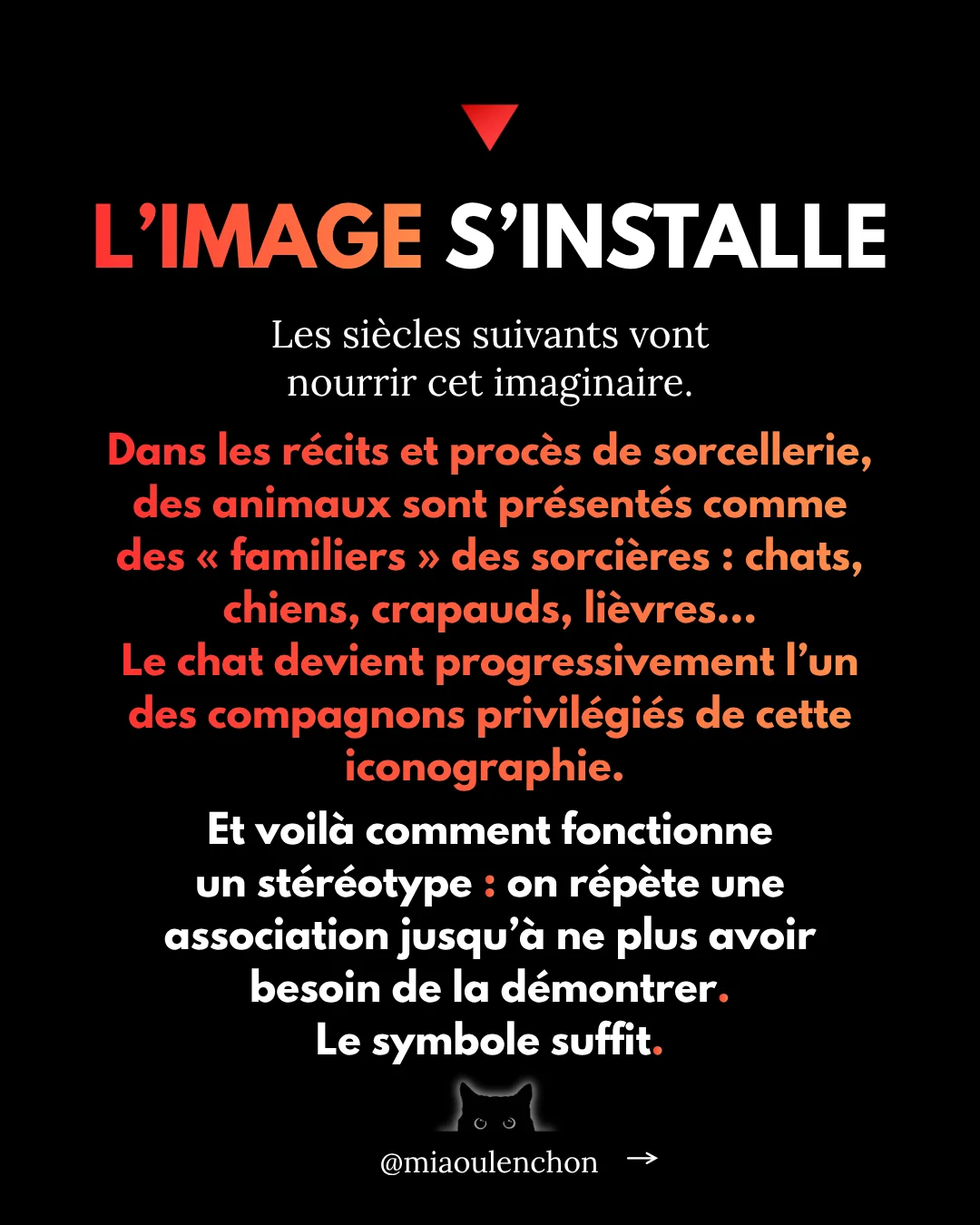 Pourquoi les chats noirs sont des insoumis — diapositive 6