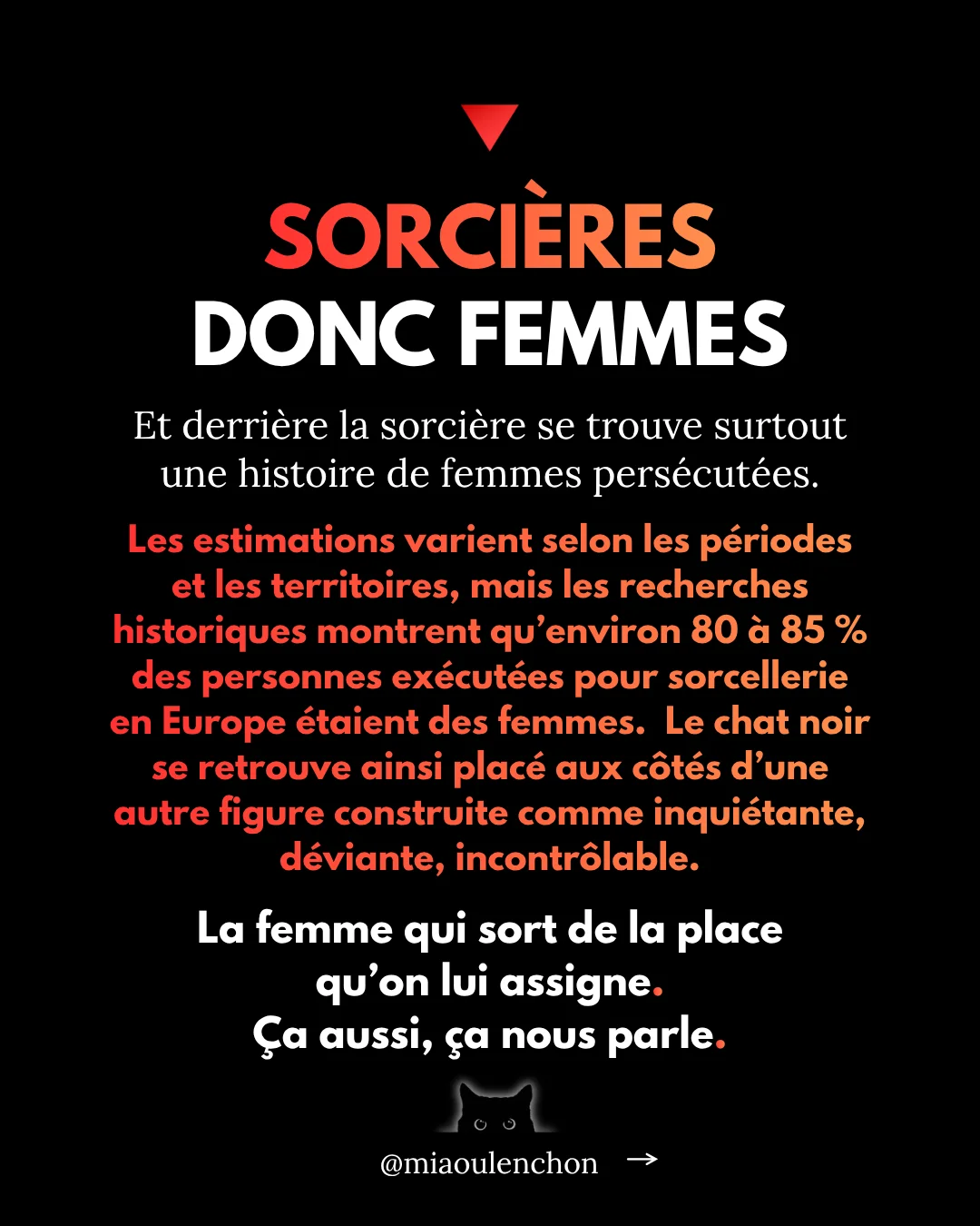 Pourquoi les chats noirs sont des insoumis — diapositive 7