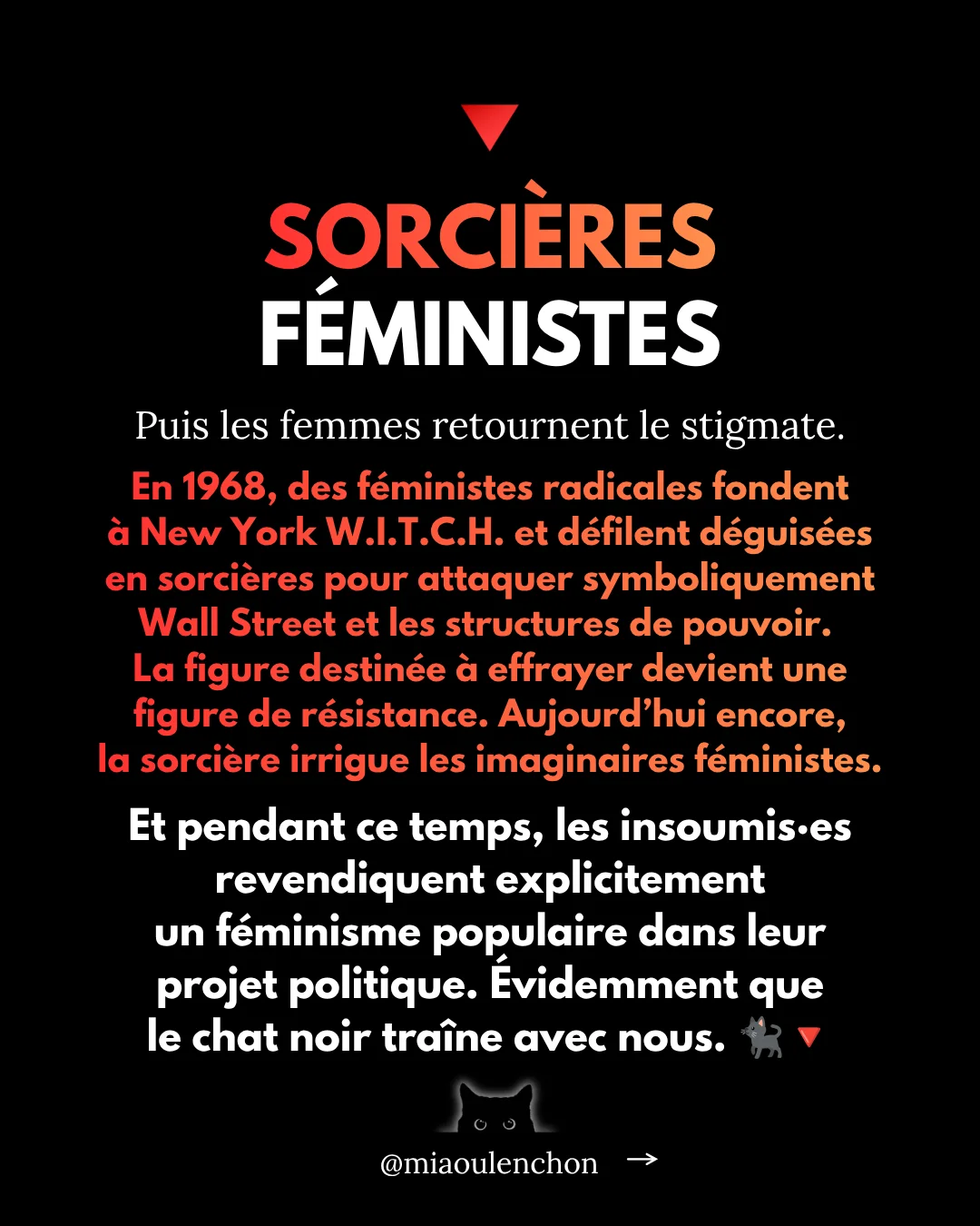 Pourquoi les chats noirs sont des insoumis — diapositive 8