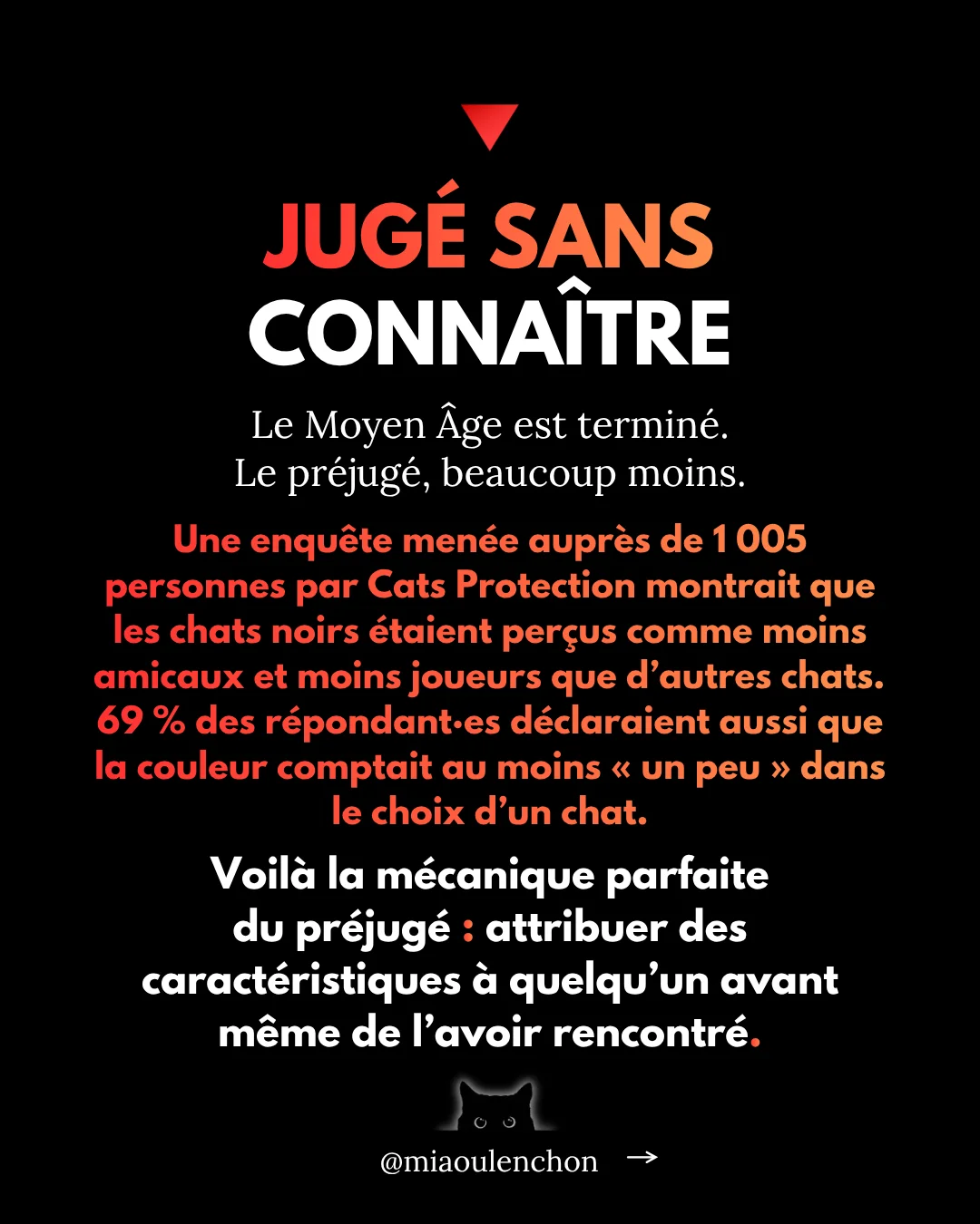 Pourquoi les chats noirs sont des insoumis — diapositive 9
