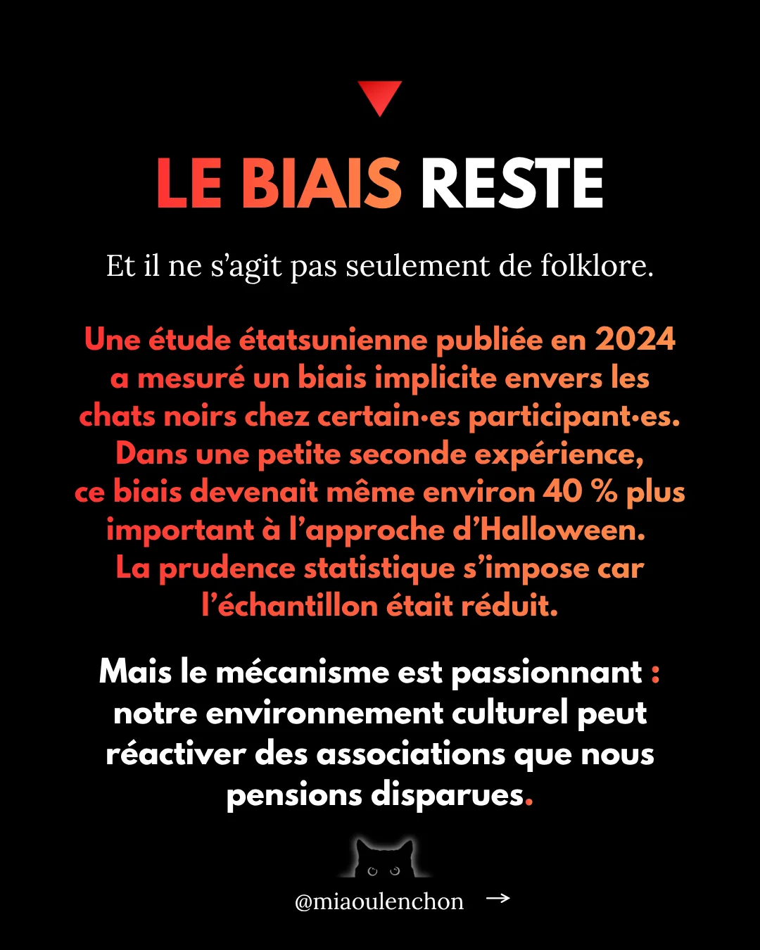 Pourquoi les chats noirs sont des insoumis — diapositive 10