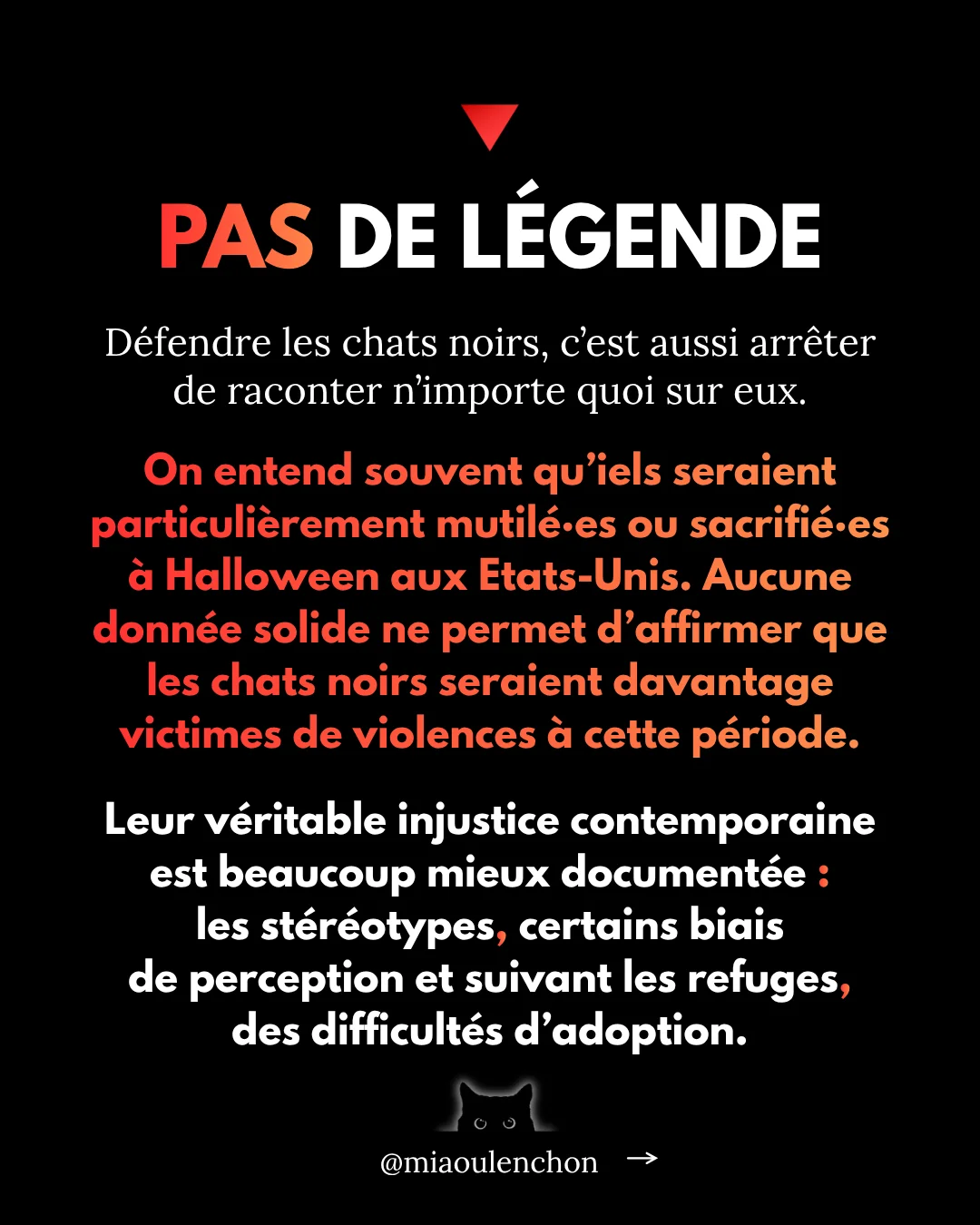 Pourquoi les chats noirs sont des insoumis — diapositive 12