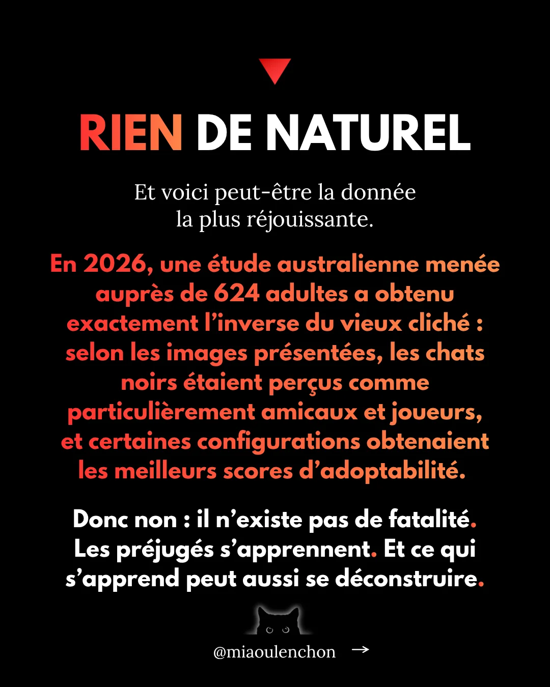 Pourquoi les chats noirs sont des insoumis — diapositive 15