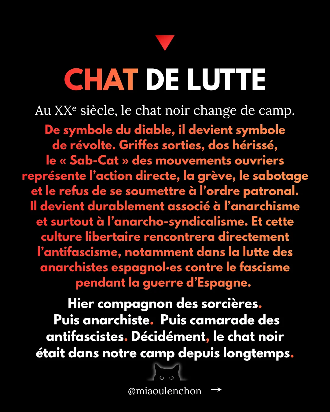 Pourquoi les chats noirs sont des insoumis — diapositive 16