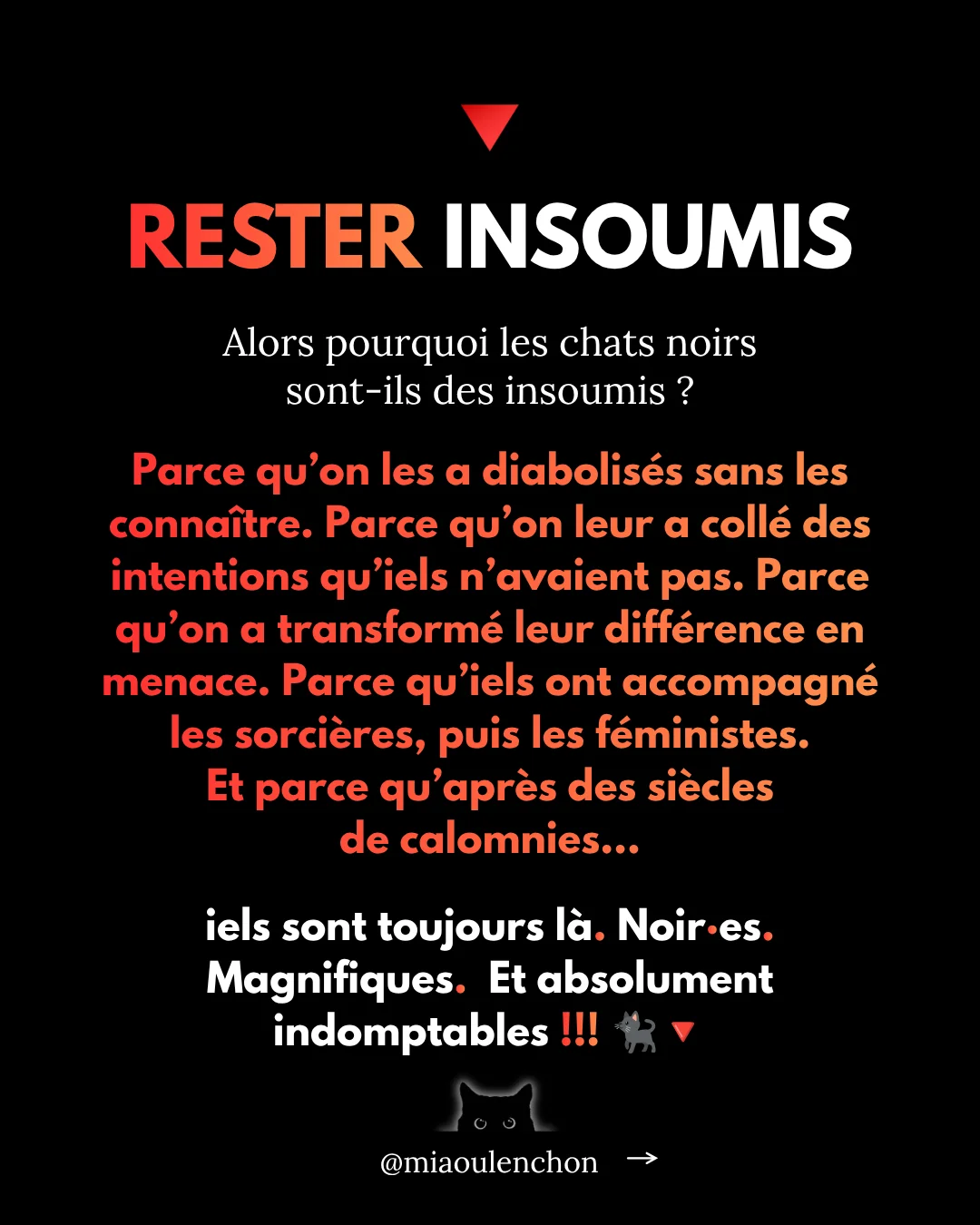 Pourquoi les chats noirs sont des insoumis — diapositive 17
