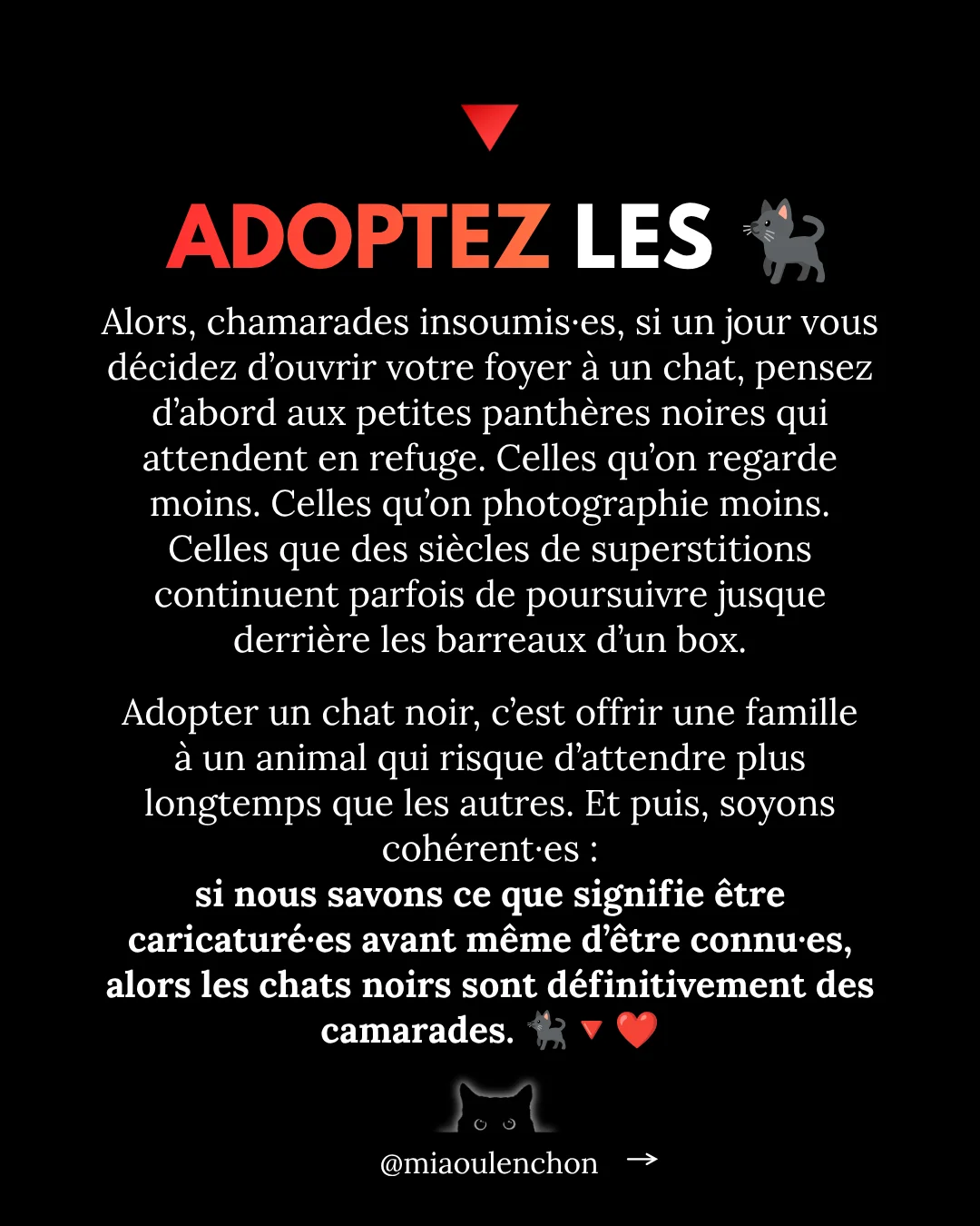 Pourquoi les chats noirs sont des insoumis — diapositive 18