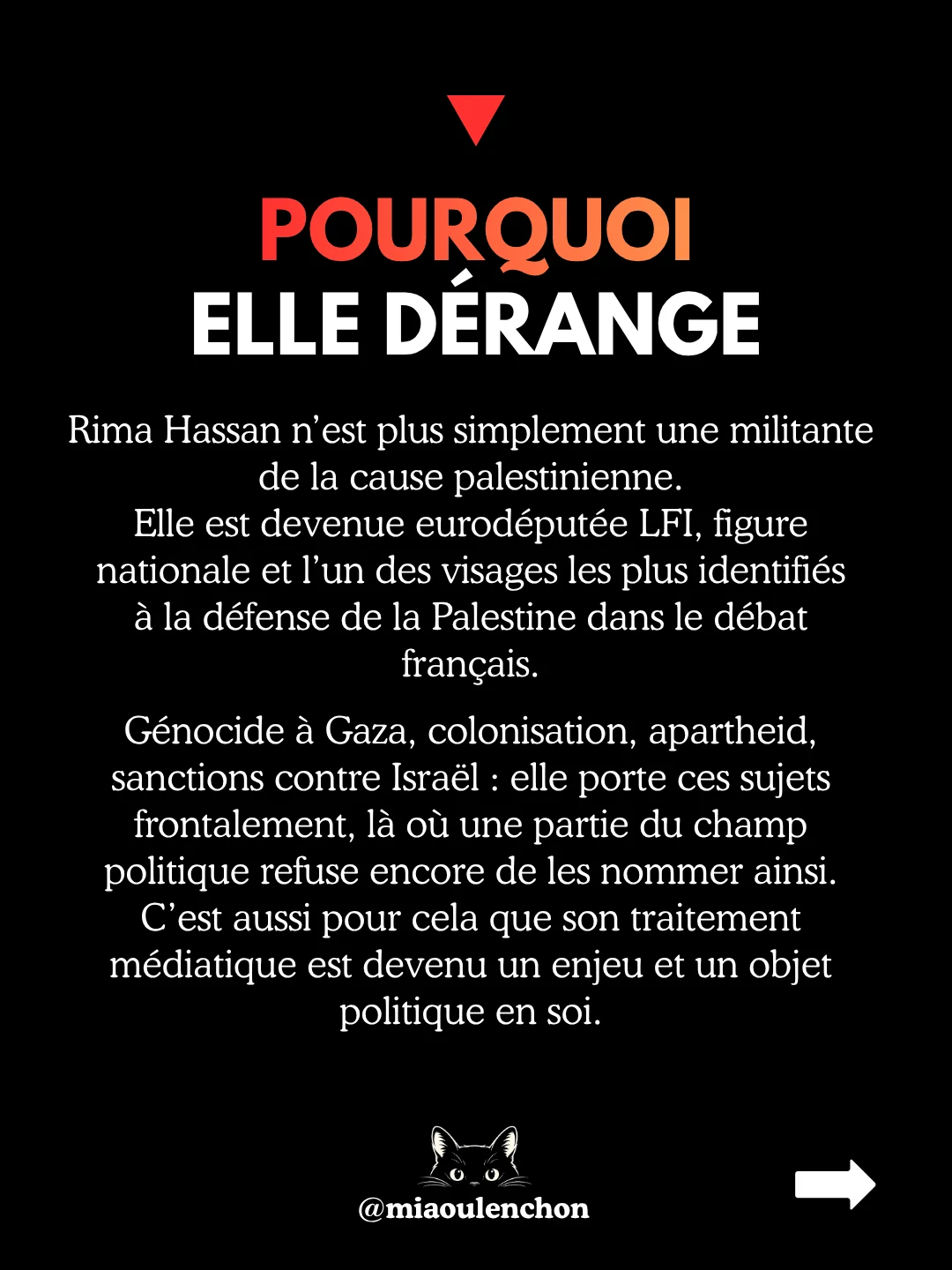 Rima Hassan : portrait à charge — diapositive 2