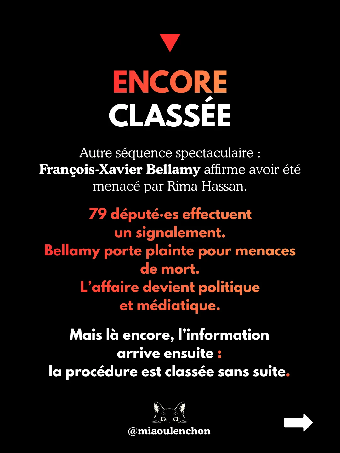 Rima Hassan : portrait à charge — diapositive 10