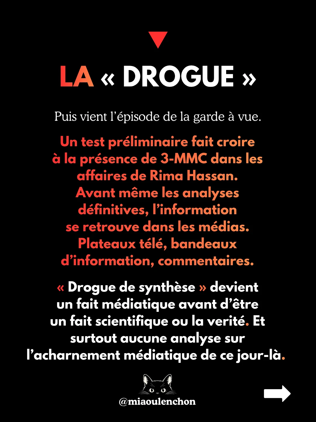 Rima Hassan : portrait à charge — diapositive 11