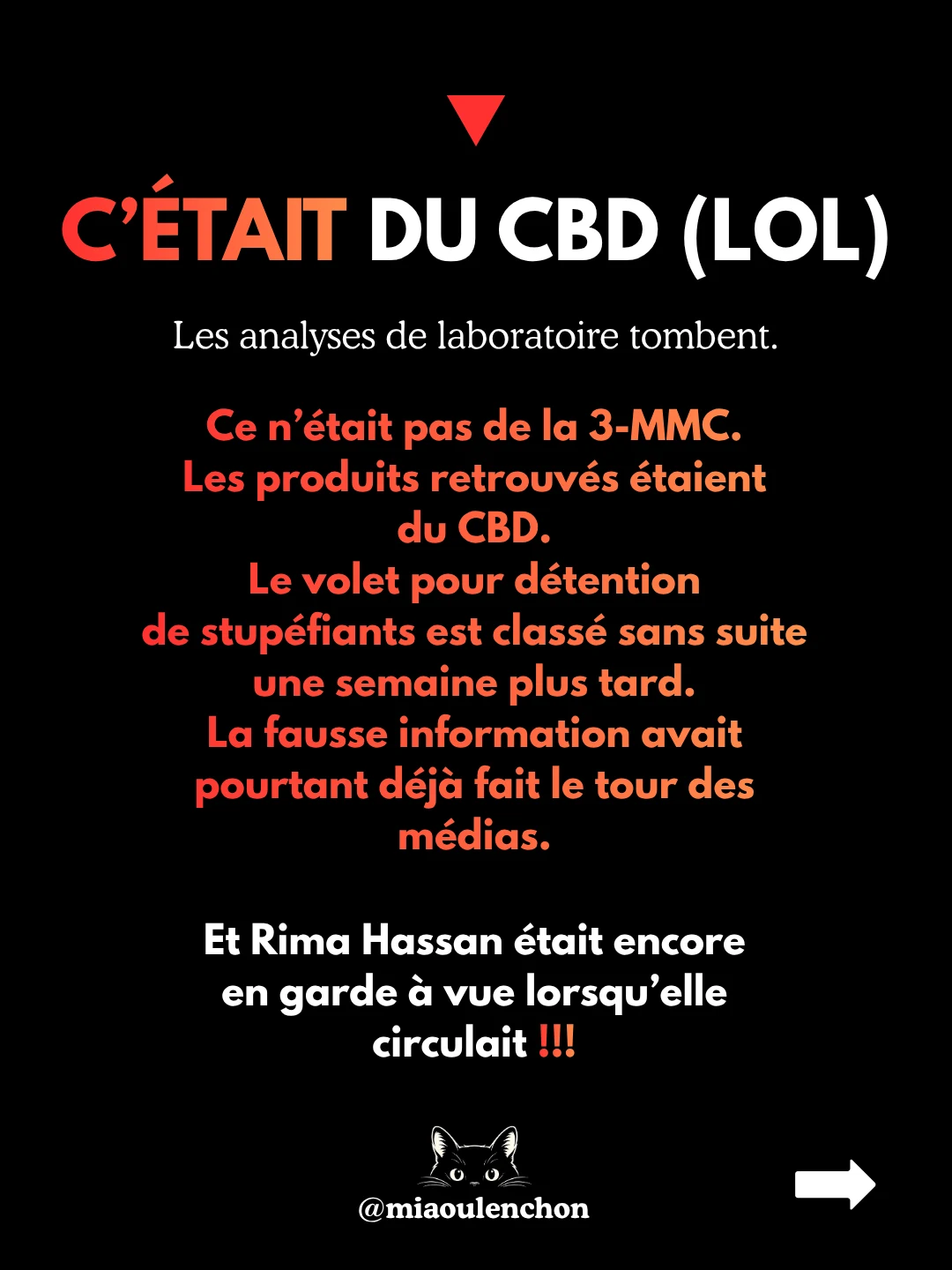 Rima Hassan : portrait à charge — diapositive 12