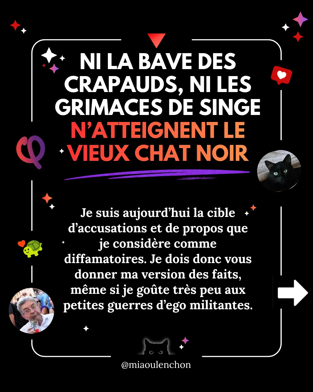 Ni la bave des crapauds, ni les grimaces de singe n’atteignent le vieux chat noir — diapositive 1