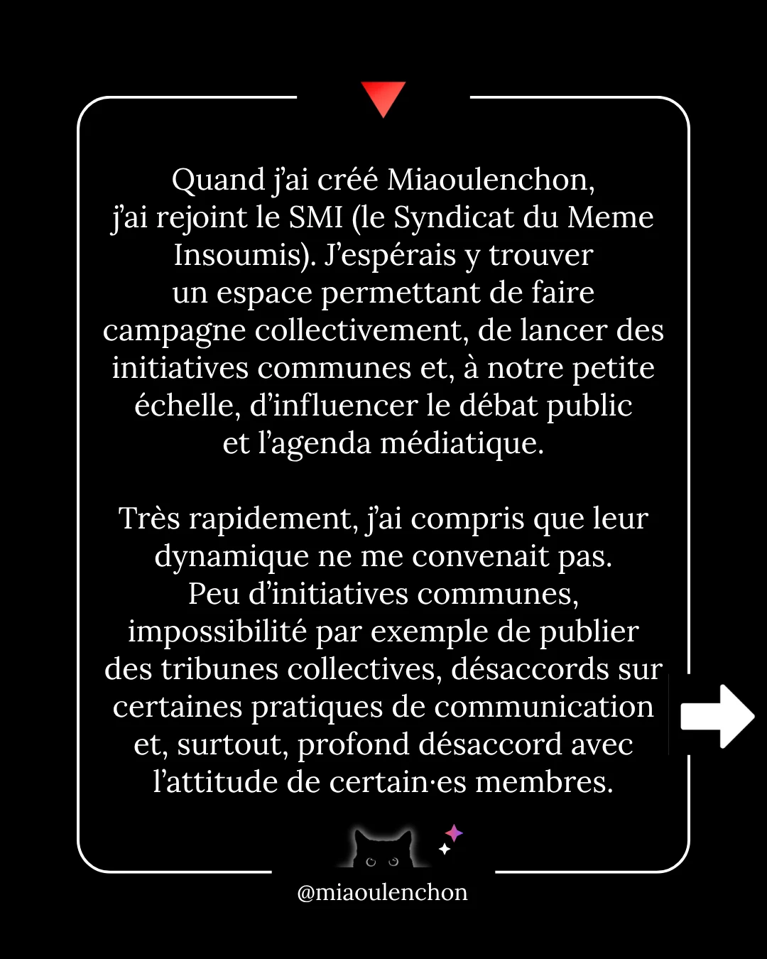 Ni la bave des crapauds, ni les grimaces de singe n’atteignent le vieux chat noir — diapositive 2