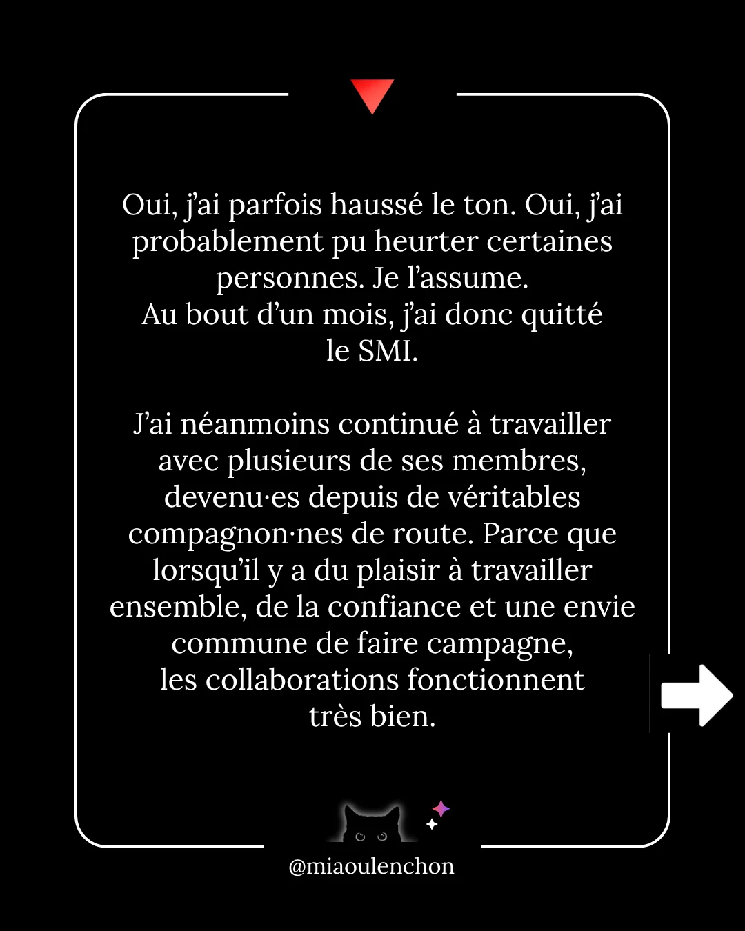 Ni la bave des crapauds, ni les grimaces de singe n’atteignent le vieux chat noir — diapositive 3