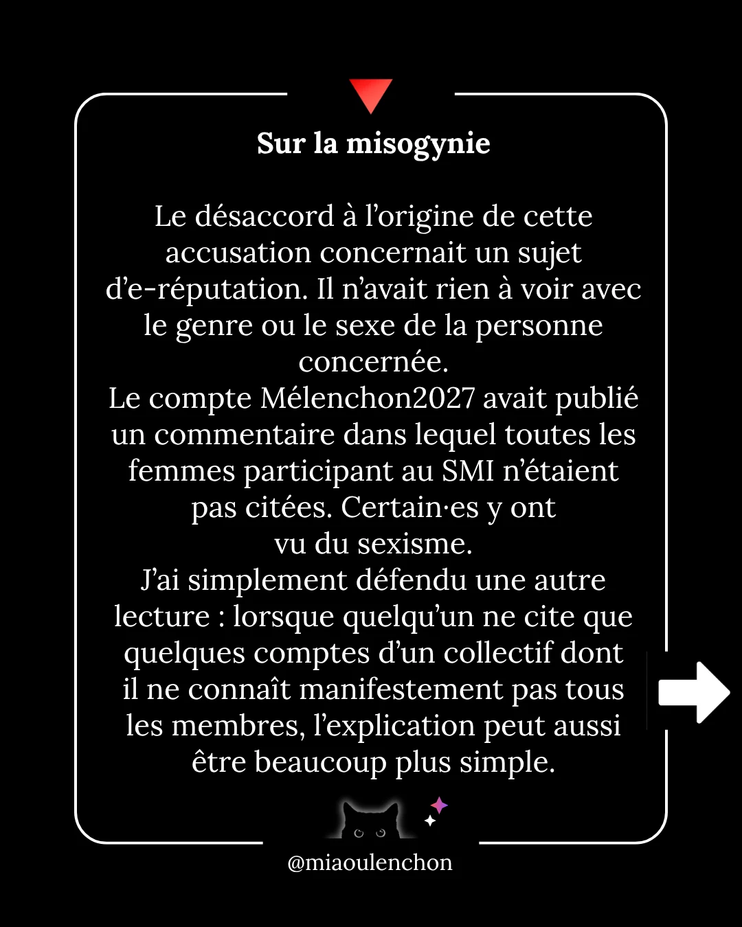 Ni la bave des crapauds, ni les grimaces de singe n’atteignent le vieux chat noir — diapositive 5