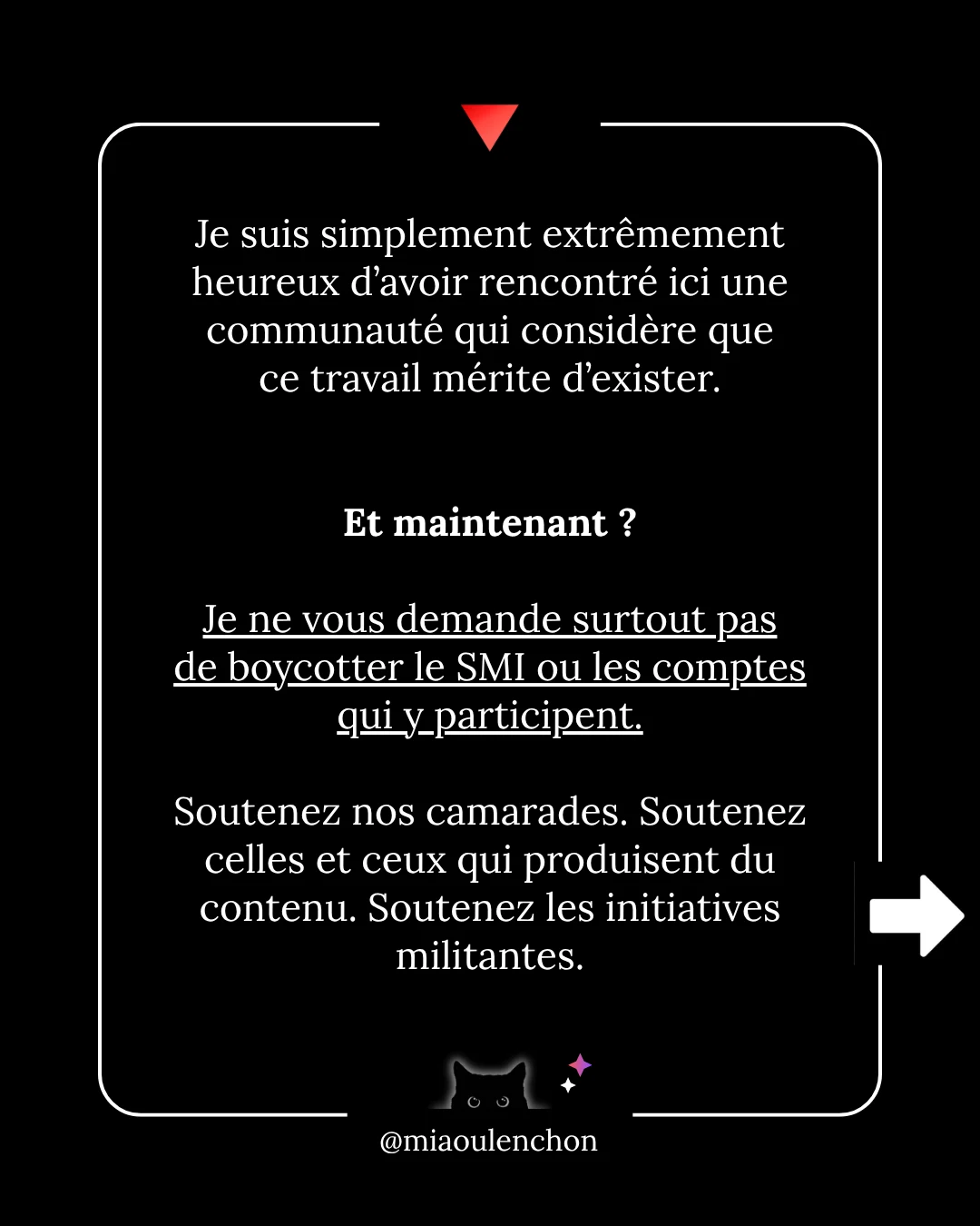 Ni la bave des crapauds, ni les grimaces de singe n’atteignent le vieux chat noir — diapositive 9