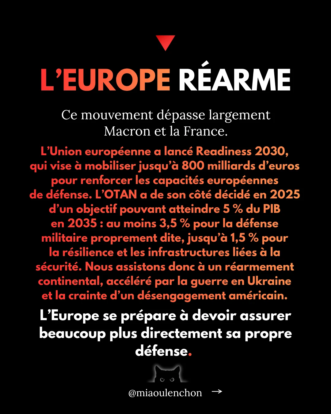 La guerre avec la Russie — diapositive 12
