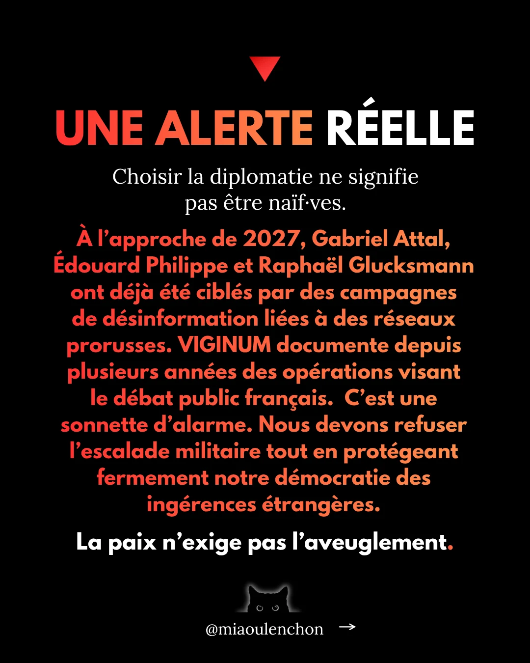 La guerre avec la Russie — diapositive 16