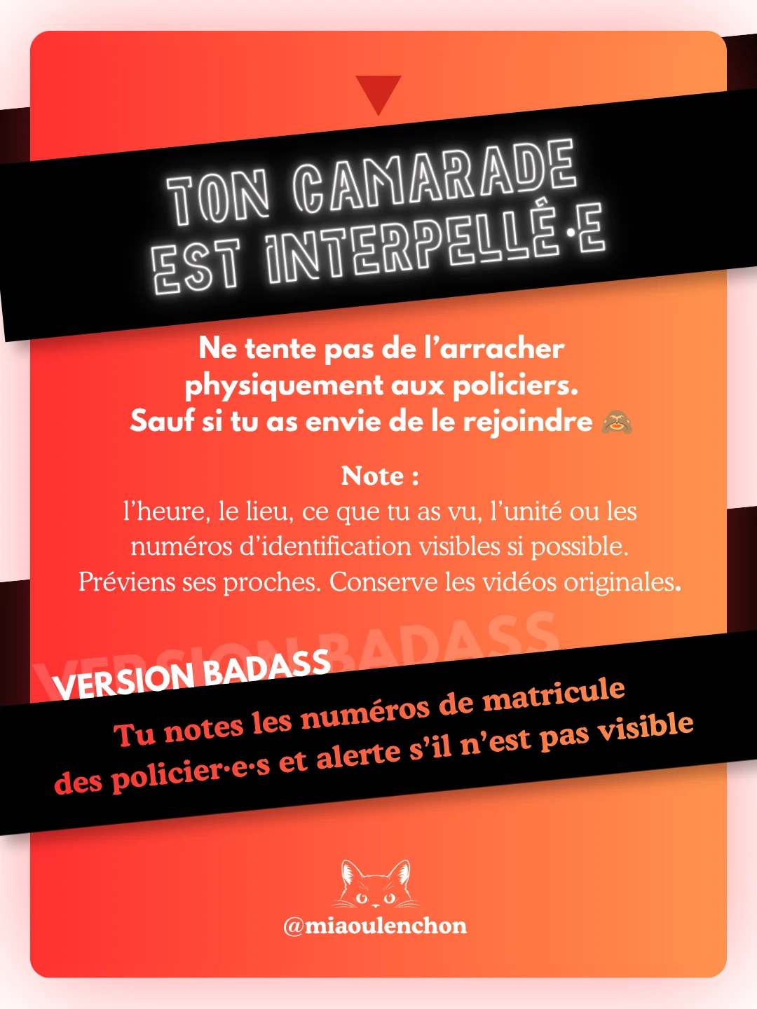Guide du/de la lycéen·ne manifestant·e — diapositive 11