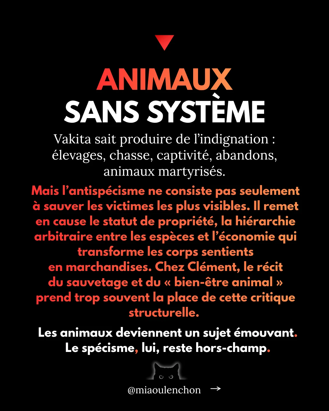 Hugo Clément : l’écologie-boutique — diapositive 11