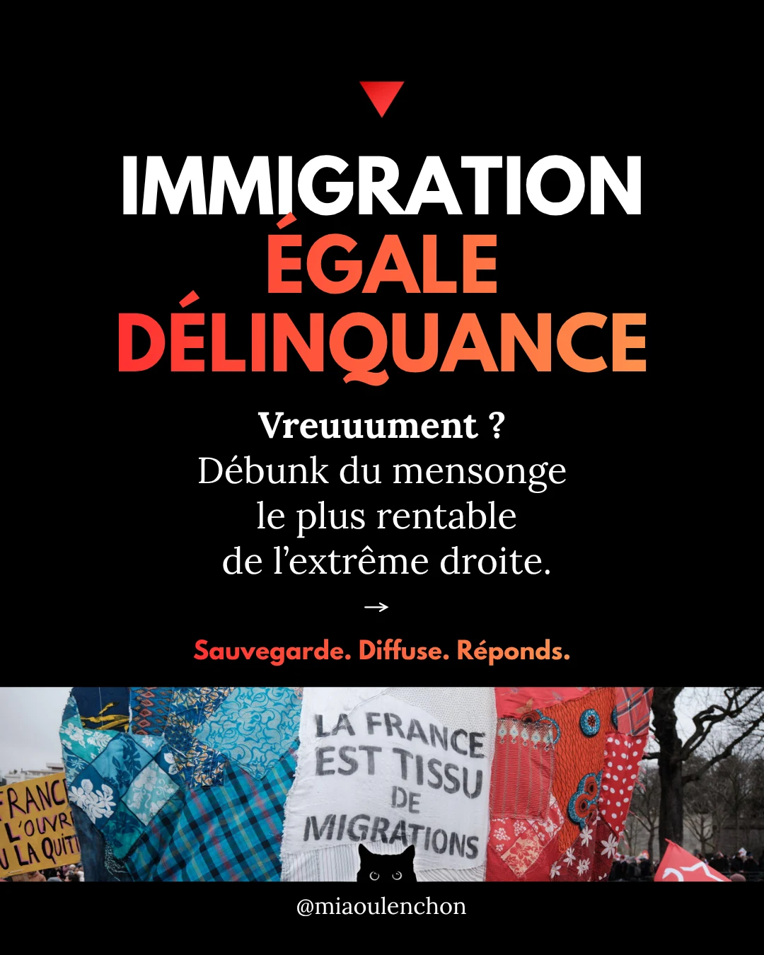 Immigration égale délinquance : vraiment ? — diapositive 1