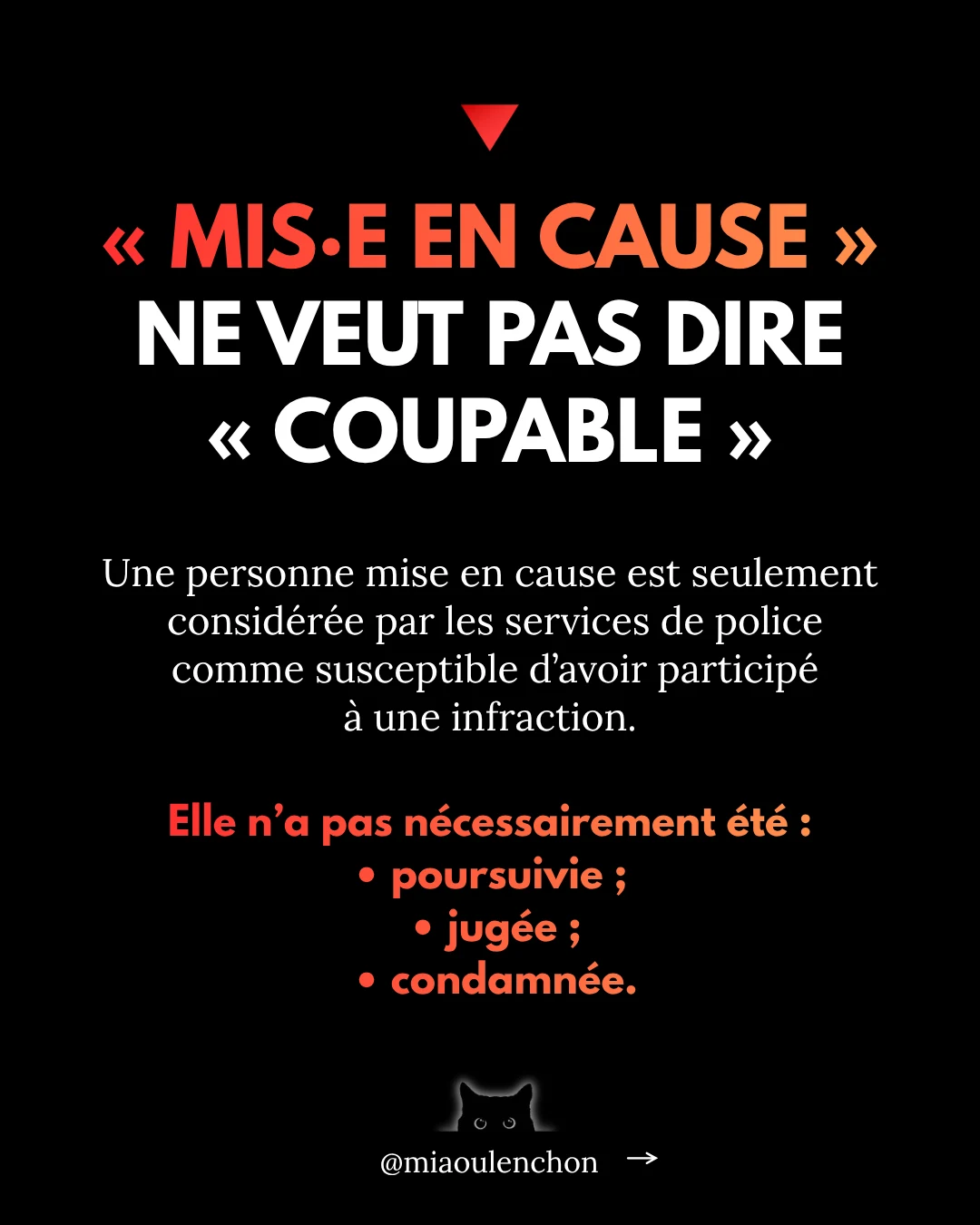 Immigration égale délinquance : vraiment ? — diapositive 5
