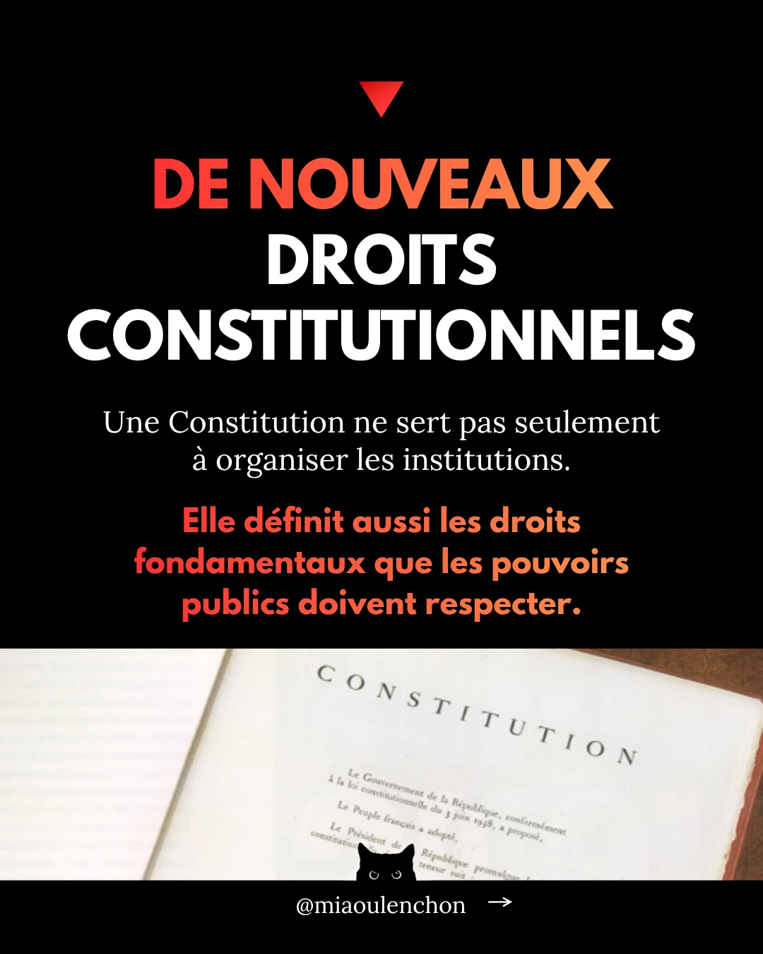 C’est quoi la VIe République ? — diapositive 14