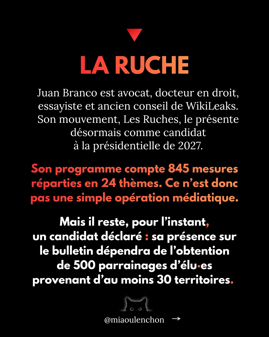 Juan Branco : le candidat dont personne ne parle — diapositive 3