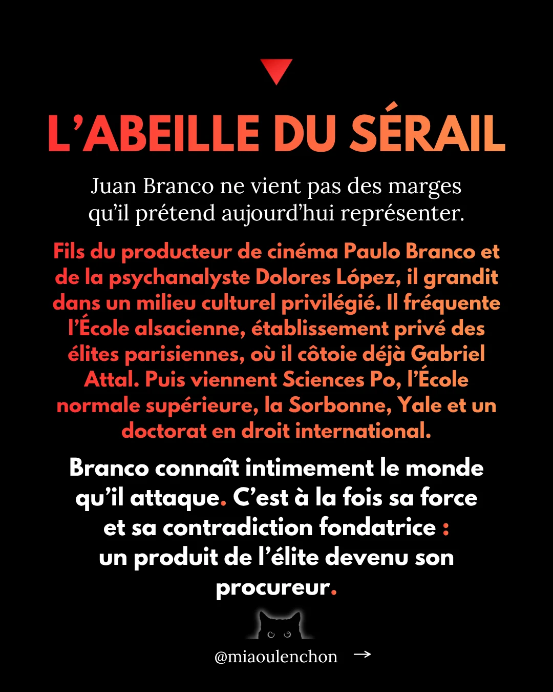 Juan Branco : le candidat dont personne ne parle — diapositive 4