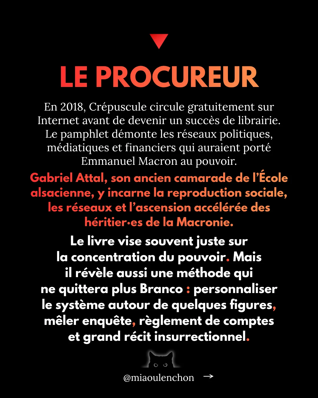 Juan Branco : le candidat dont personne ne parle — diapositive 5