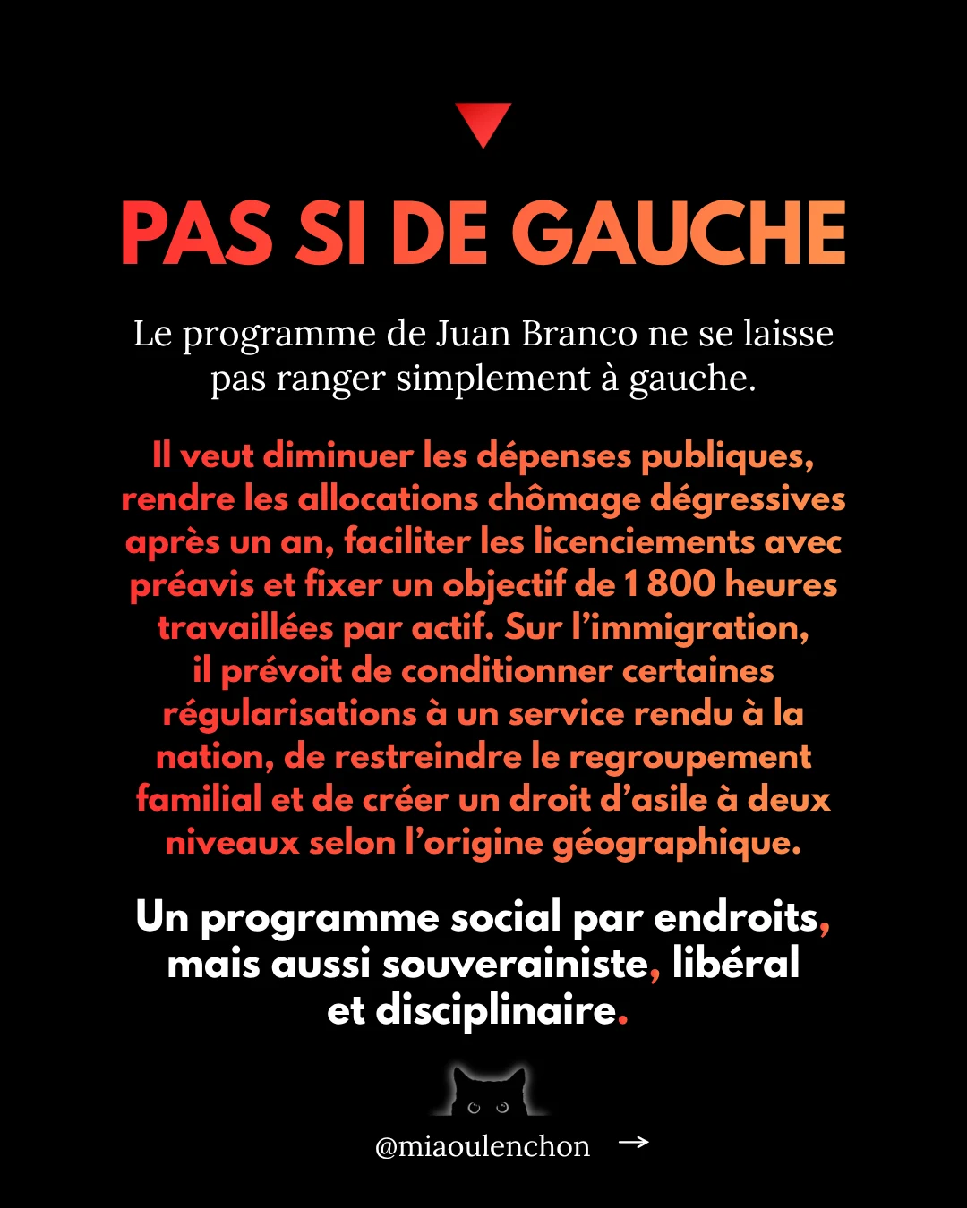 Juan Branco : le candidat dont personne ne parle — diapositive 9