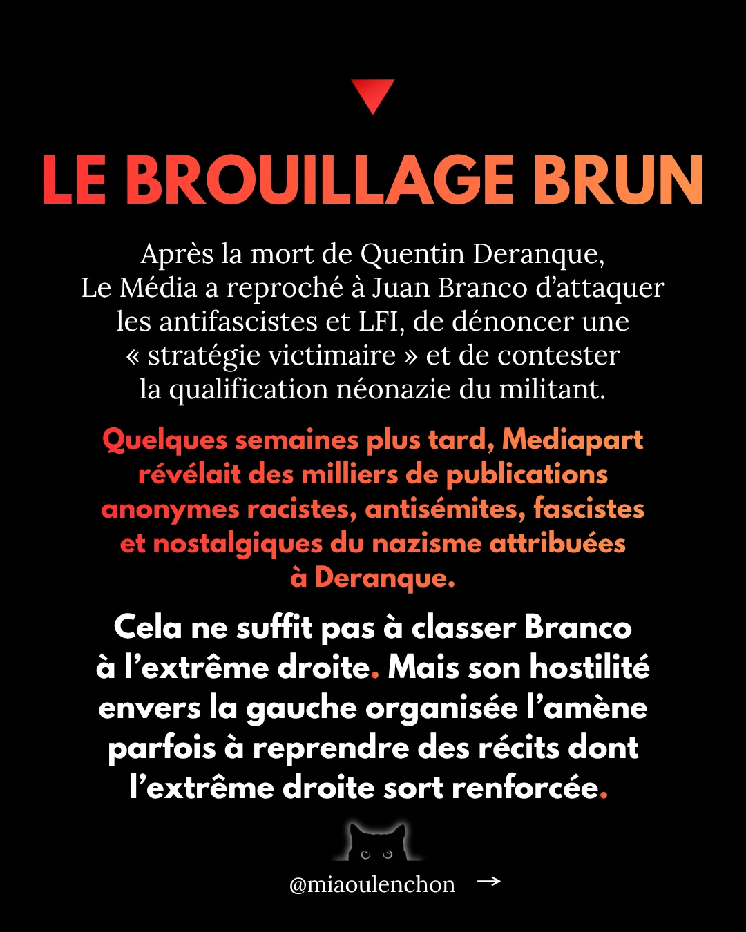Juan Branco : le candidat dont personne ne parle — diapositive 11
