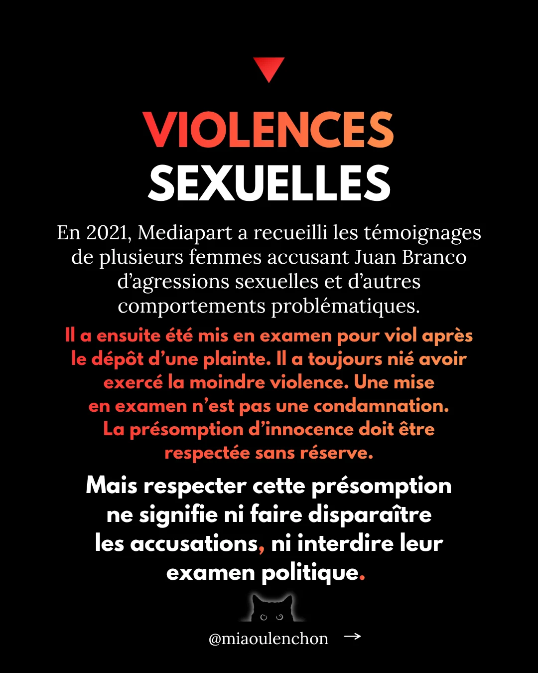 Juan Branco : le candidat dont personne ne parle — diapositive 12