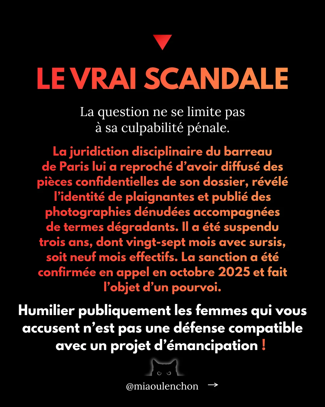 Juan Branco : le candidat dont personne ne parle — diapositive 13