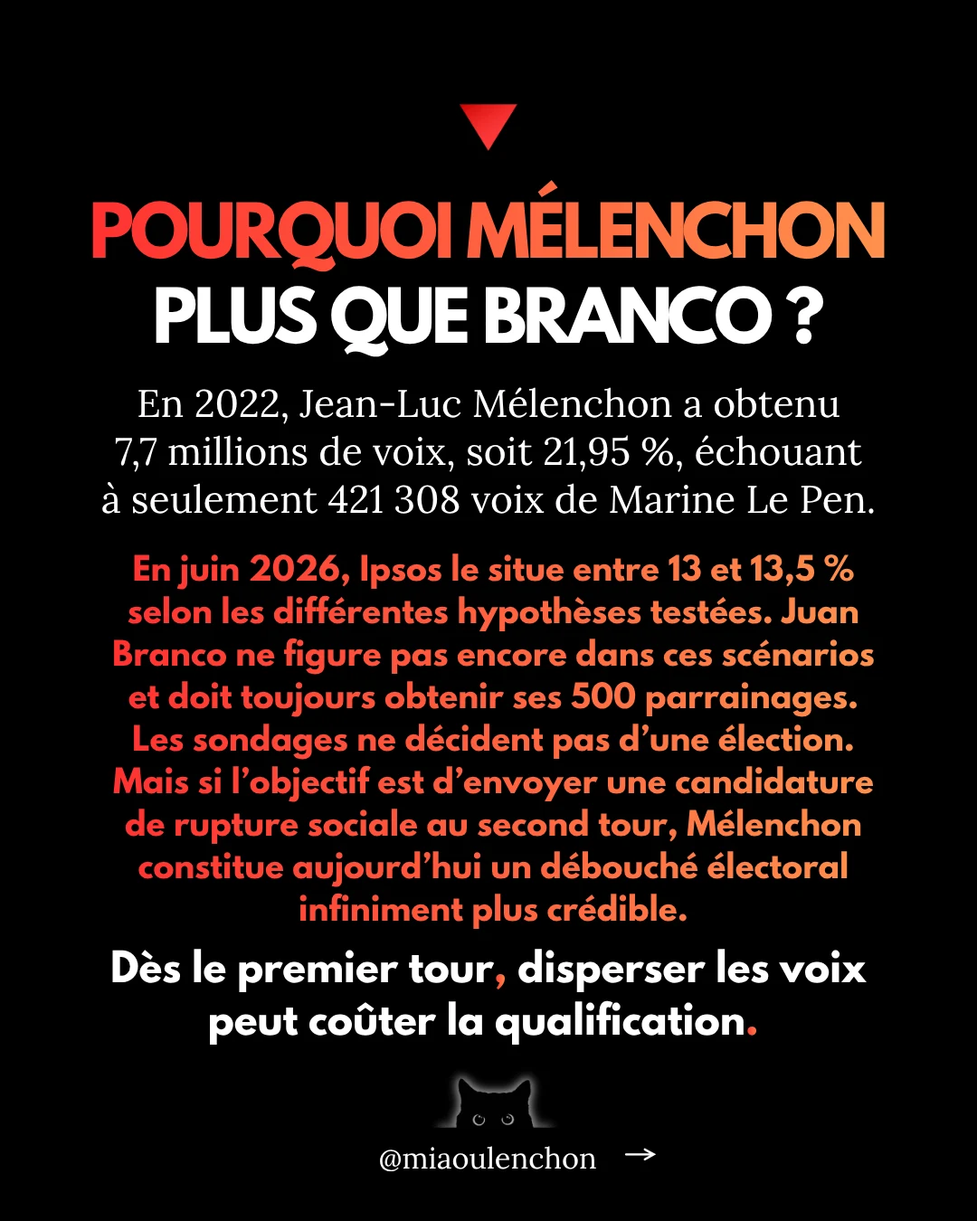Juan Branco : le candidat dont personne ne parle — diapositive 15