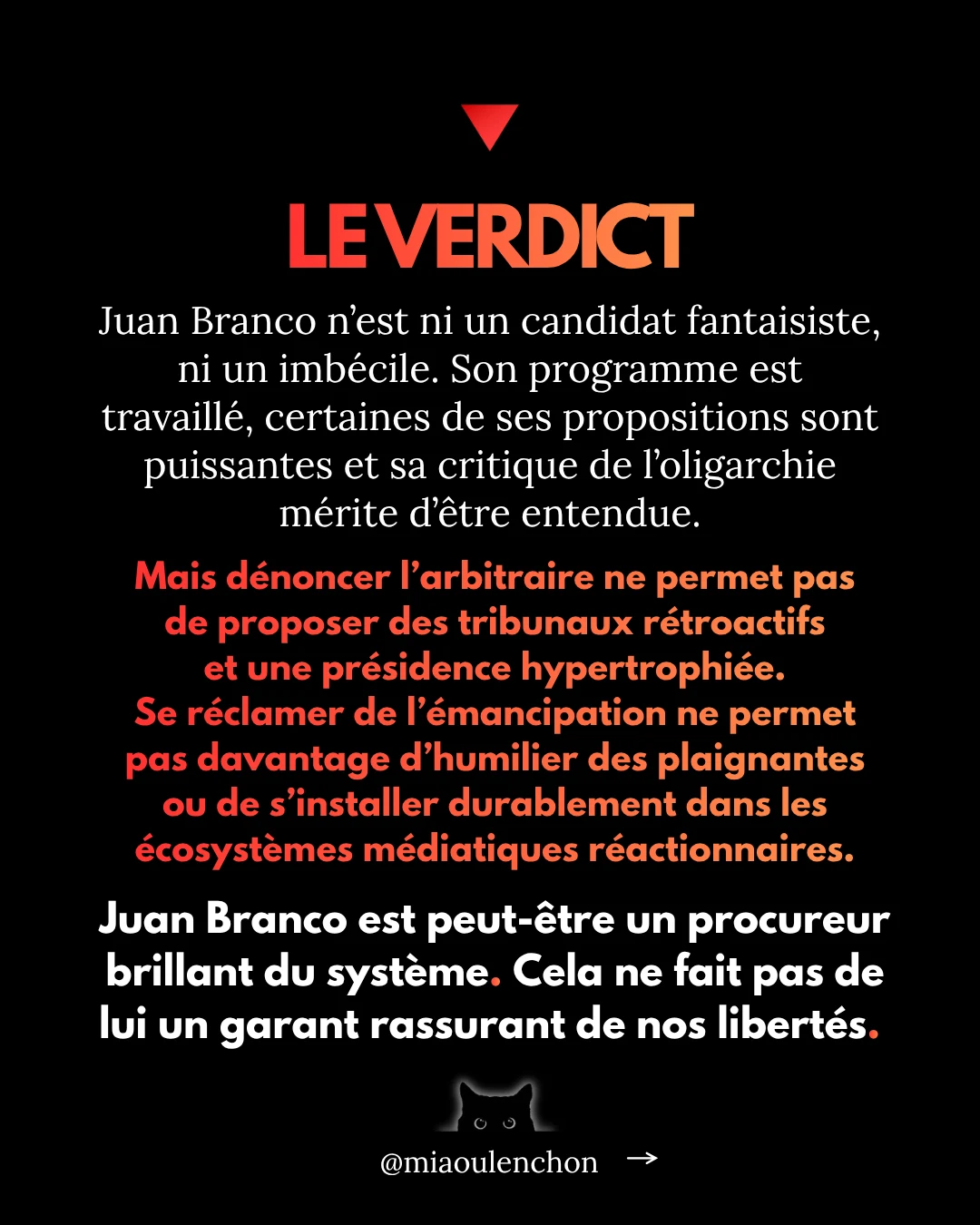 Juan Branco : le candidat dont personne ne parle — diapositive 16