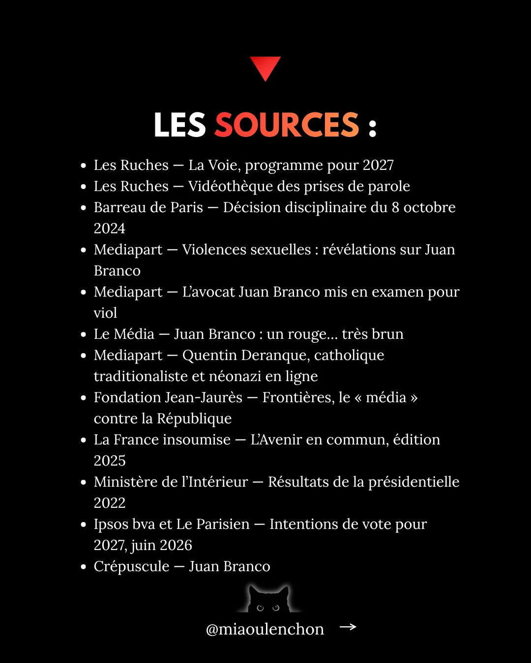 Juan Branco : le candidat dont personne ne parle — diapositive 17