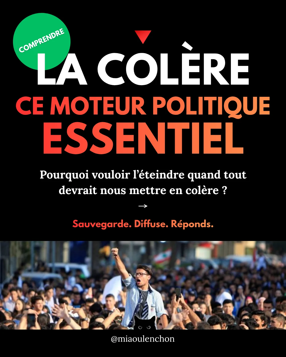 La colère : ce moteur politique essentiel — diapositive 1